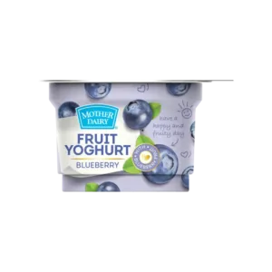 Mother Dairy Blueberry Flavoured Yogurt